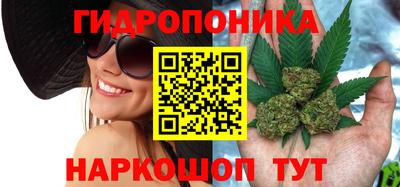 СК Аргун