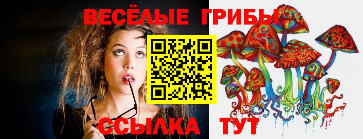 Псилоцибиновые грибы Psilocybine cubensis Асино