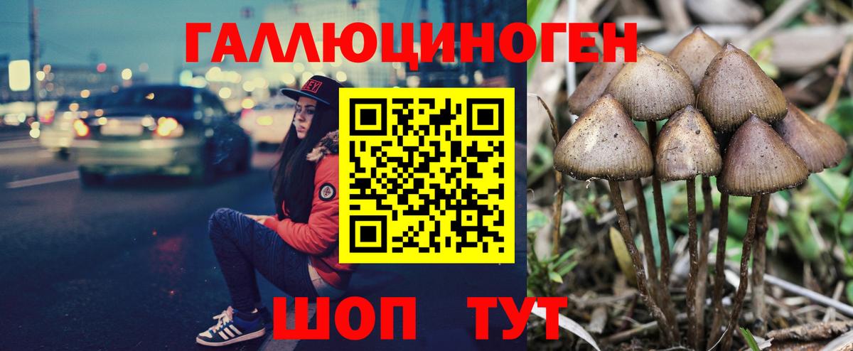 Асино  Галлюциногенные грибы мухоморы  Галлюциногенные грибы Psilocybine cubensis  Вход с VPN 